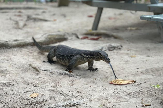 Фото экскурсии - Симиланы. Лучшие пляжи мира ждут вас! Все Включено, Расширенная программа! - 5