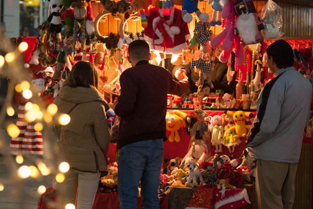 Фото экскурсии - Новогодняя прогулка по Еревану в сиянии праздничных огней - 6