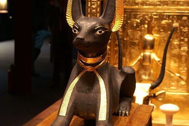 Фото экскурсии - Музей Тутанхамона: погружение в эпоху фараонов - 11