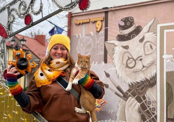 Фотопрогулка по новогоднему Зеленоградску «Кот на ёлке» - фото 1