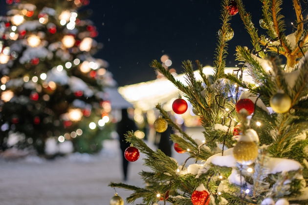 Фото экскурсии - Вечерняя прогулка по Нижегородскому Кремлю и окрестностям - 2