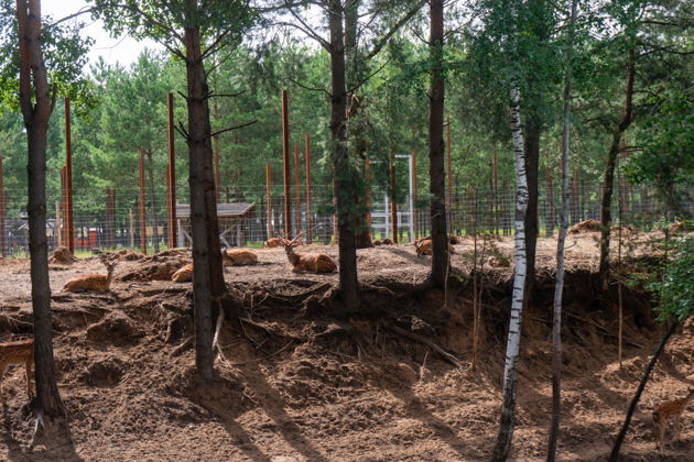 Фото экскурсии - Трансфер из Минска в зоопарк - 6