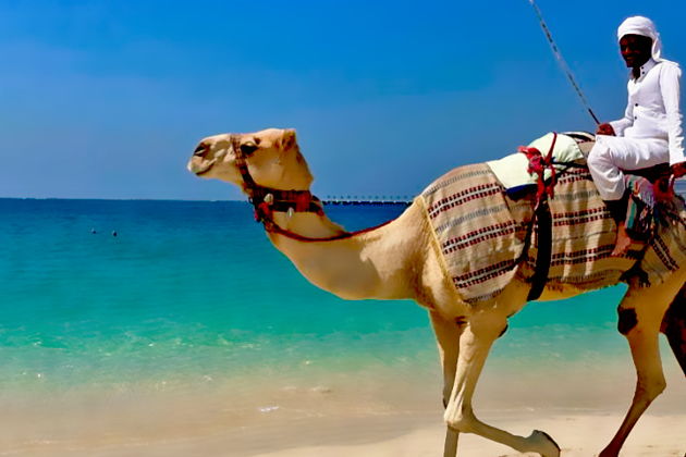 Фото экскурсии - Незабываемый вечер в Дахабе: обед и закат на побережье. - 13