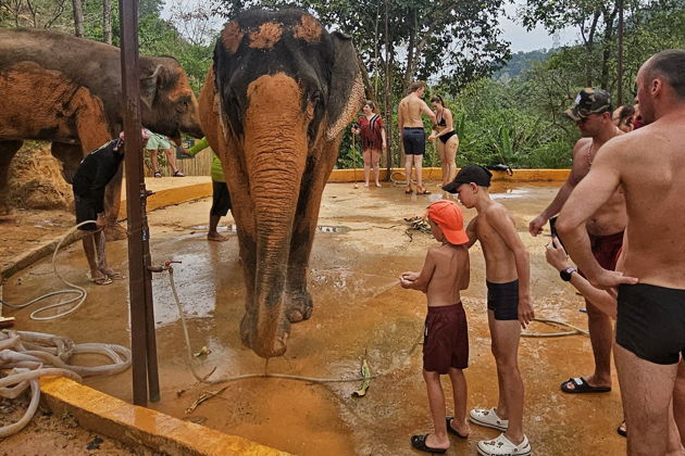 Фото экскурсии - Слоновий заповедник: общение, водные процедуры и уход - 10