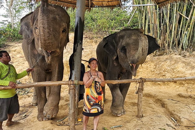 Фото экскурсии - Слоновий заповедник: общение, водные процедуры и уход - 2