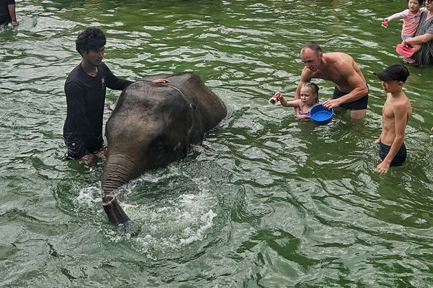 Фото экскурсии - Слоновий заповедник: общение, водные процедуры и уход - 4