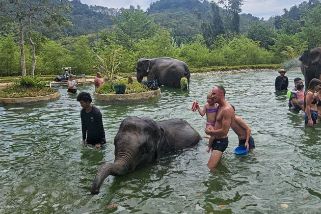 Фото экскурсии - Слоновий заповедник: общение, водные процедуры и уход - 5