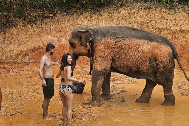 Фото экскурсии - Слоновий заповедник: общение, водные процедуры и уход - 9