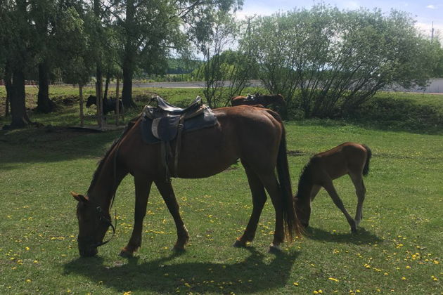 Фото экскурсии - Исследуйте юг Башкирии: горные вершины, глубокие ущелья и древние шиханы - 1