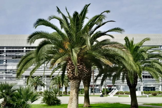 Фото экскурсии - Красная Поляна и Олимпийский парк: горные вершины и морские достопримечательности - 4