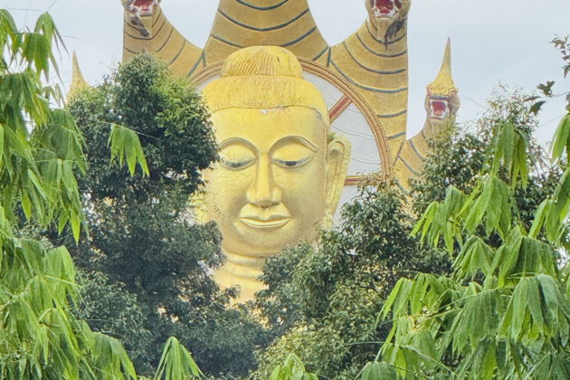 Фото экскурсии - Роскошные джунгли в Накхонситхаммарате - 4