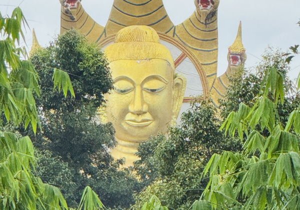 Джунгли люкс. Nakhon Si Thammarat - фото 4