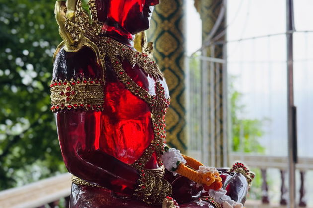 Фото экскурсии - Роскошные джунгли в Накхонситхаммарате - 5