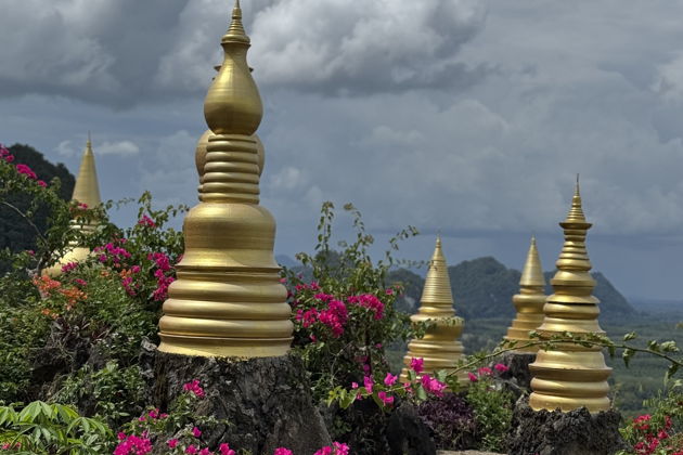 Фото экскурсии - Роскошные джунгли в Накхонситхаммарате - 9