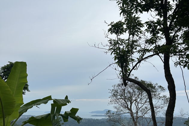 Фото экскурсии - В джунглях ждут приключения - 1