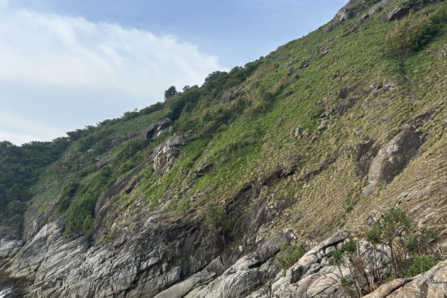 Фото экскурсии - В джунглях ждут приключения - 4