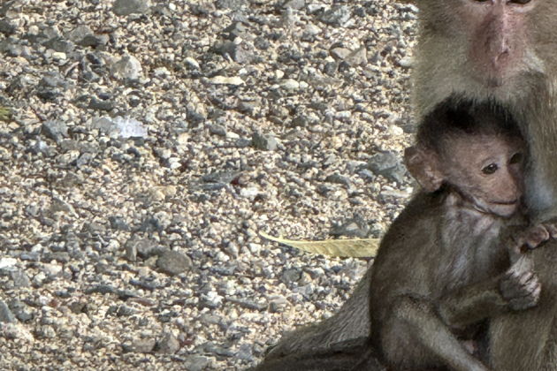 Фото экскурсии - Исторический тур по континентальным регионам от автора - 11