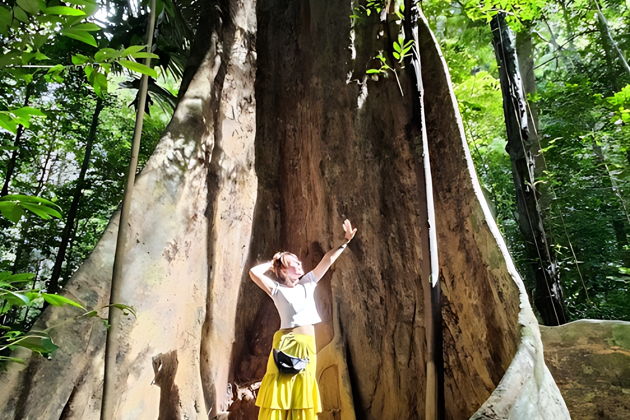 Фото экскурсии - Краби: путешествие к целебным источникам и исполинским деревьям - 2