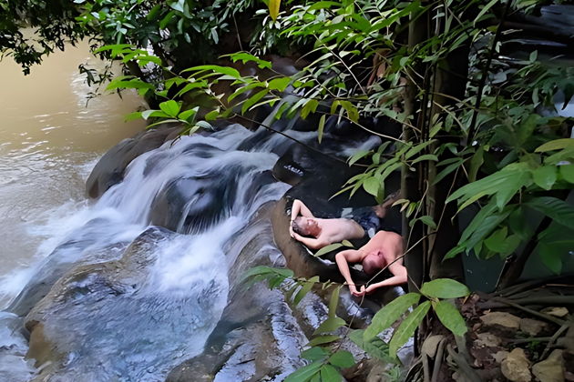 Фото экскурсии - Краби: путешествие к целебным источникам и исполинским деревьям - 4