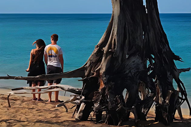 Фото экскурсии - Краби: путешествие к целебным источникам и исполинским деревьям - 7