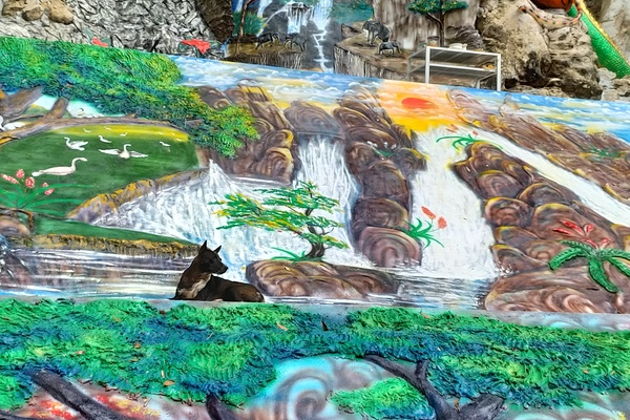 Фото экскурсии - Краби: путешествие к целебным источникам и исполинским деревьям - 8