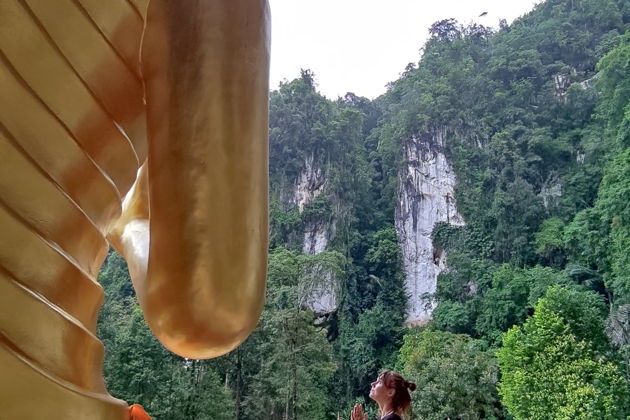 Фото экскурсии - Краби: путешествие к целебным источникам и исполинским деревьям - 10