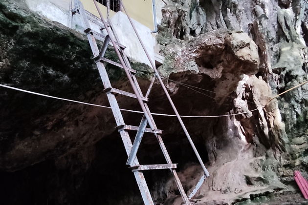 Фото экскурсии - Краби: путешествие к целебным источникам и исполинским деревьям - 12