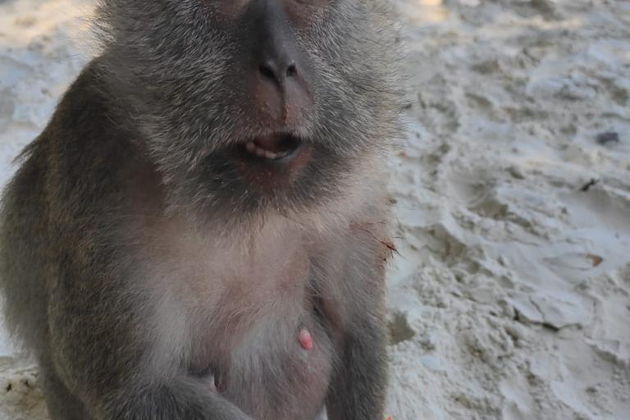 Фото экскурсии - Киносага о Джеймсе Бонде вдохновила на морскую прогулку по местам съемок - 3