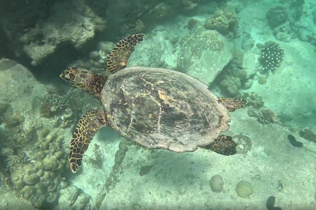 Фото экскурсии - Пхукет, Пхи-Пхи и Краби на яхте - 13