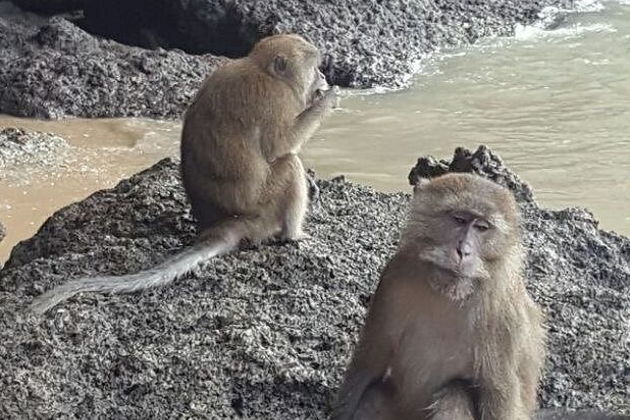 Фото экскурсии - Пхукет, Пхи-Пхи и Краби на яхте - 15