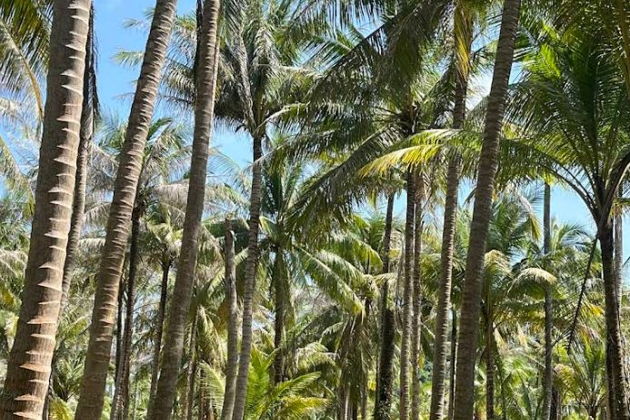 Фото экскурсии - Пхукет, Пхи-Пхи и Краби на яхте - 6