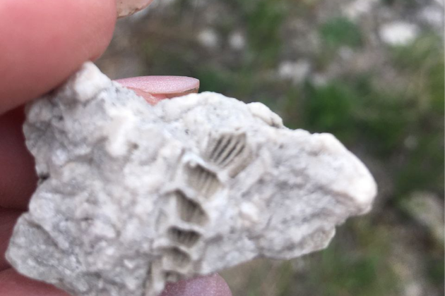 Фото экскурсии - Путешествие по живописным уголкам Башкортостана - 10