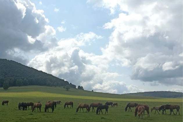 Фото - экскурсия: Путешествие по живописным уголкам Башкортостана