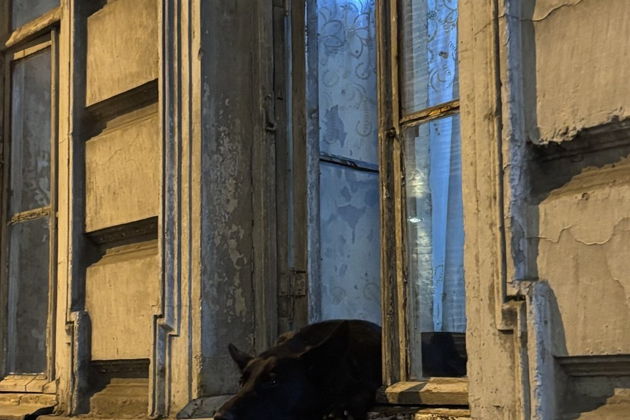 Фото экскурсии - Тбилиси как на ладони: от старинных улочек до величественных площадей - 9