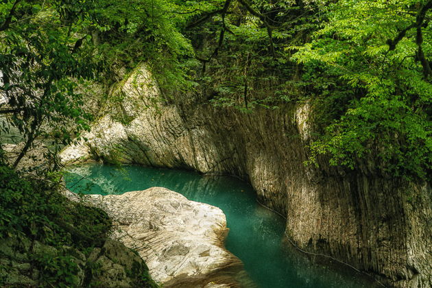 Фото экскурсии - Дикая природа Сочи в окрестностях Красной Поляны - 7