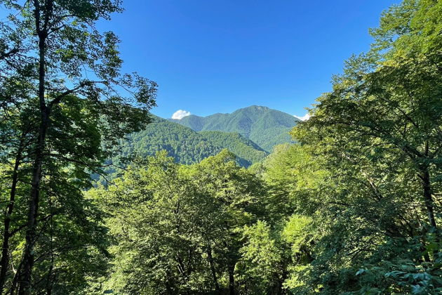 Фото экскурсии - Джип-сафари в Солохаул: чайные поля и воздушный шар - 5