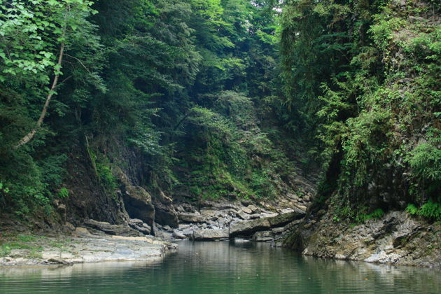 Фото экскурсии - Джип-сафари в Солохаул: чайные поля и воздушный шар - 6