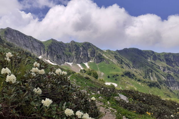 Фото экскурсии - Аудиогид по курортным зонам Красной Поляны с включенным проездом на подъемнике - 7