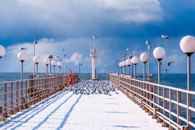 Фото - экскурсия: Сочи предлагает богатую историю и множество достопримечательностей