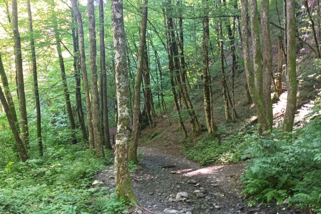 Фото экскурсии - Оживляющая перезагрузка: окунитесь в горные купели Красной Поляны - 5