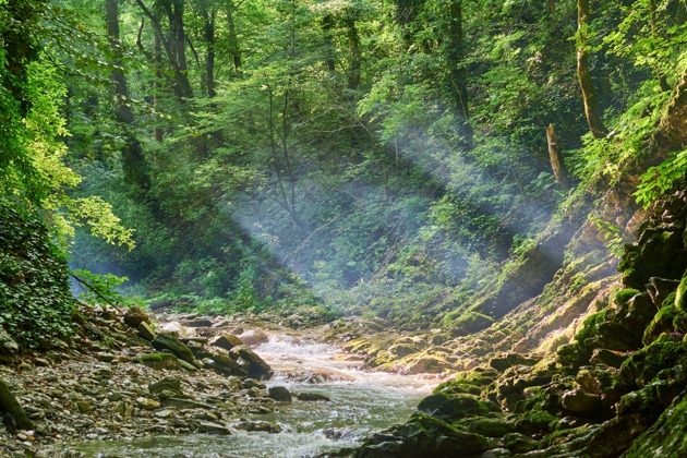 Фото - экскурсия: Оживляющая перезагрузка: окунитесь в горные купели Красной Поляны