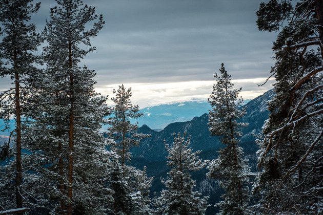 Фото - экскурсия: Прогулки по Красной Поляне - горный пейзаж прекрасен в любое время года