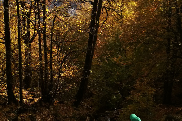 Фото - экскурсия: Прогулки по Красной Поляне - горный пейзаж прекрасен в любое время года