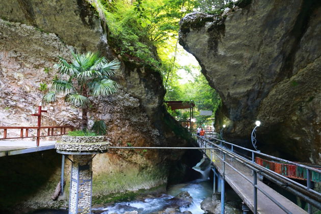 Фото экскурсии - Волшебство зимы в Абхазии: Сухум, Кындык и Черниговка - 6