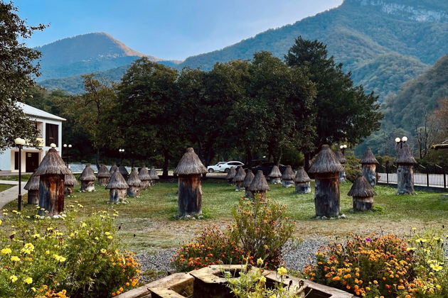 Фото экскурсии - Тур в Абхазию: Гагра, Сухум, Мандариновый сад, Черниговка и Кындыг - 5