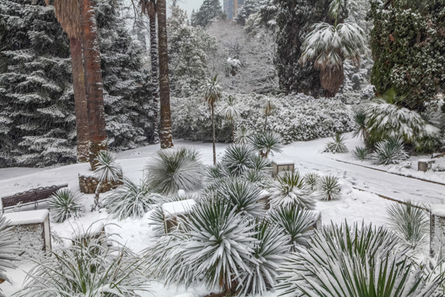 Фото - экскурсия: Обзорная экскурсия по Сочи с посещением Красной Поляны