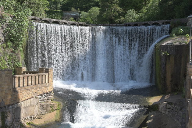Фото экскурсии - Групповая экскурсия по Абхазии с посещением Гагры, Рицы, Мандаринового сада и Афона - 6