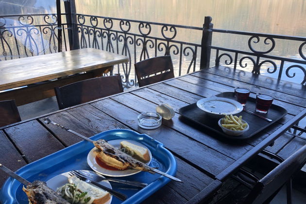 Фото экскурсии - Групповая экскурсия по Абхазии с посещением Гагры, Рицы, Мандаринового сада и Афона - 7