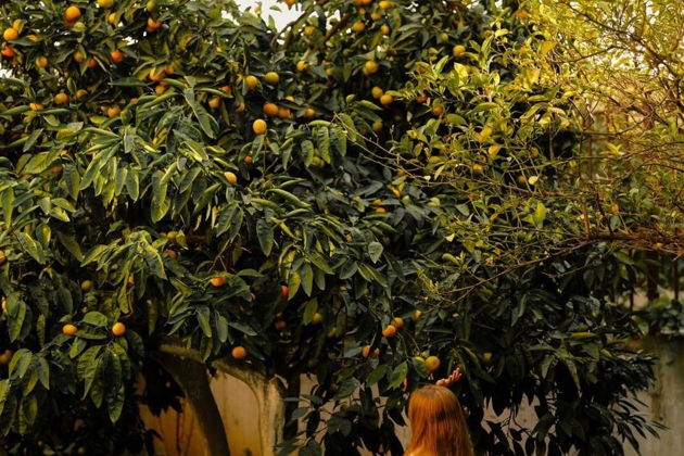 Фото экскурсии - Групповая экскурсия по Абхазии с посещением Гагры, Рицы, Мандаринового сада и Афона - 8