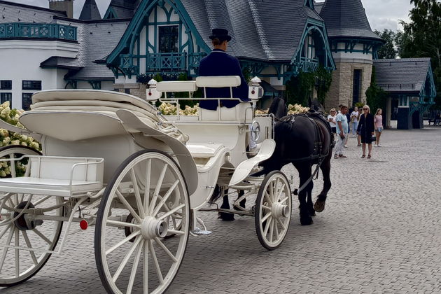 Фото экскурсии - Прогулка по готическому замку Гарибальди - 5